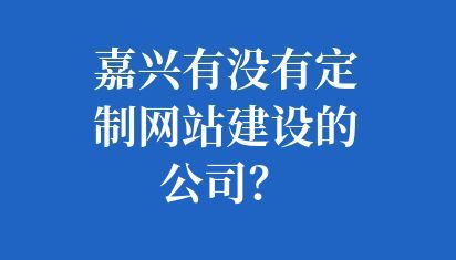 嘉兴有没有定制网站建设的公司？